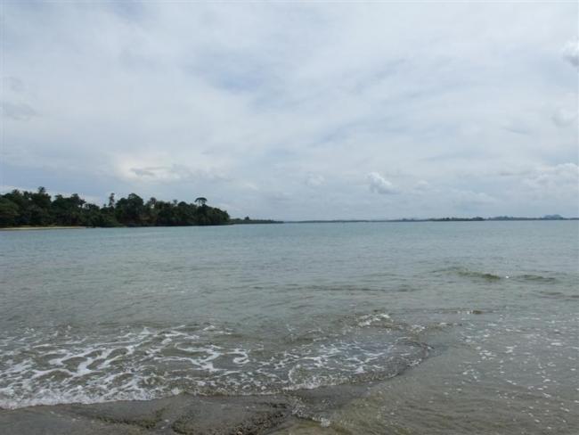 DSCF1510 (Medium).JPG